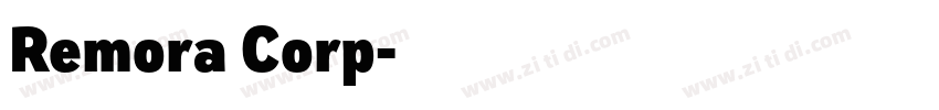 Remora Corp字体转换